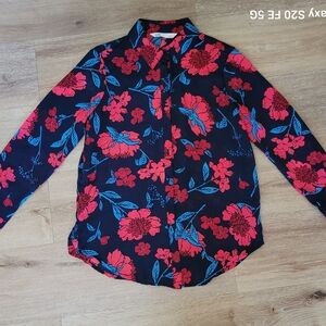 Zara Women’s Floral Button-Up Blouse Size S Black Red Blue Long Sleeve